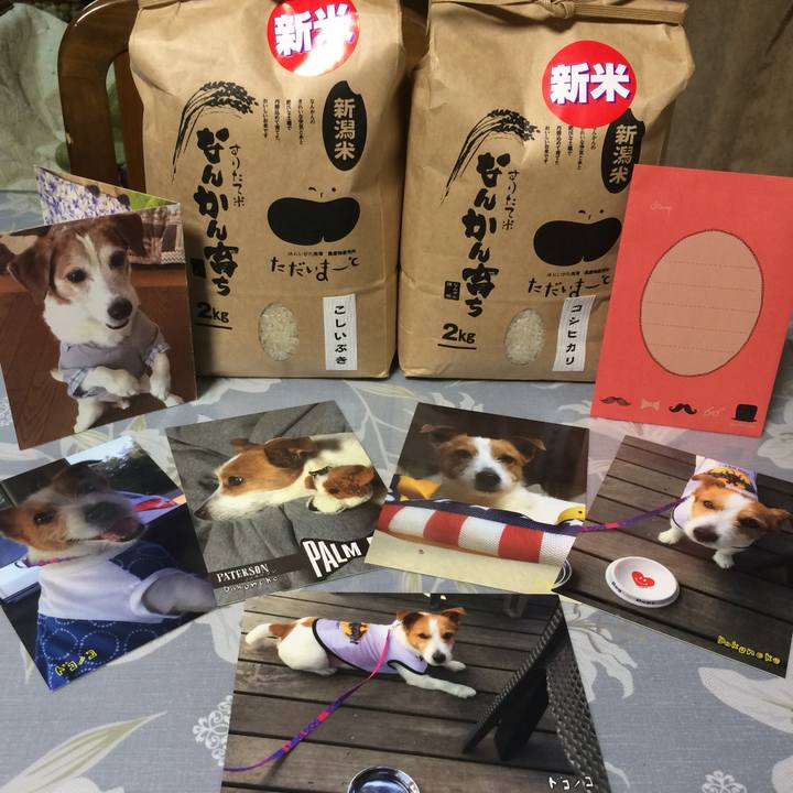 841ede5c a141 439a 830f 376b4f68127b 1509198359713