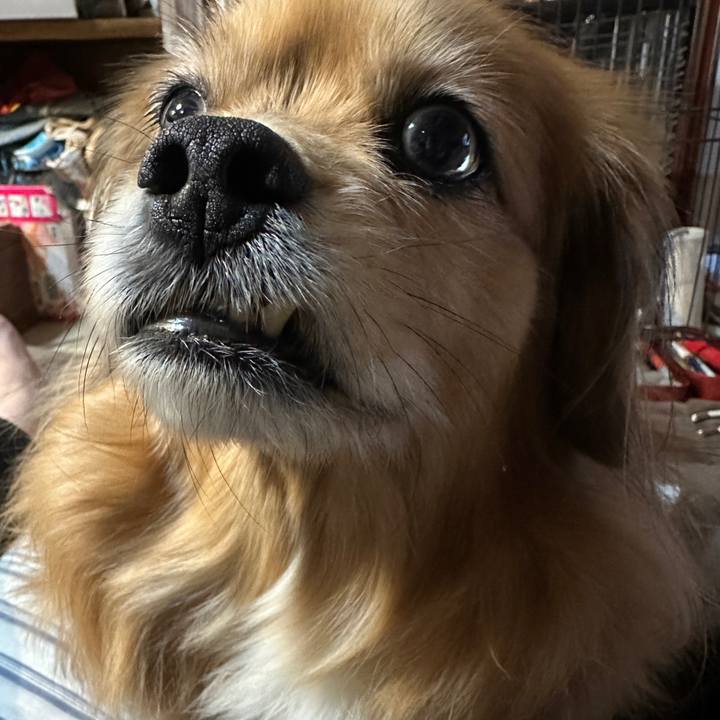 841eec36 ee6c 4b75 80e8 f6ae94bdb6e5 1740518477828