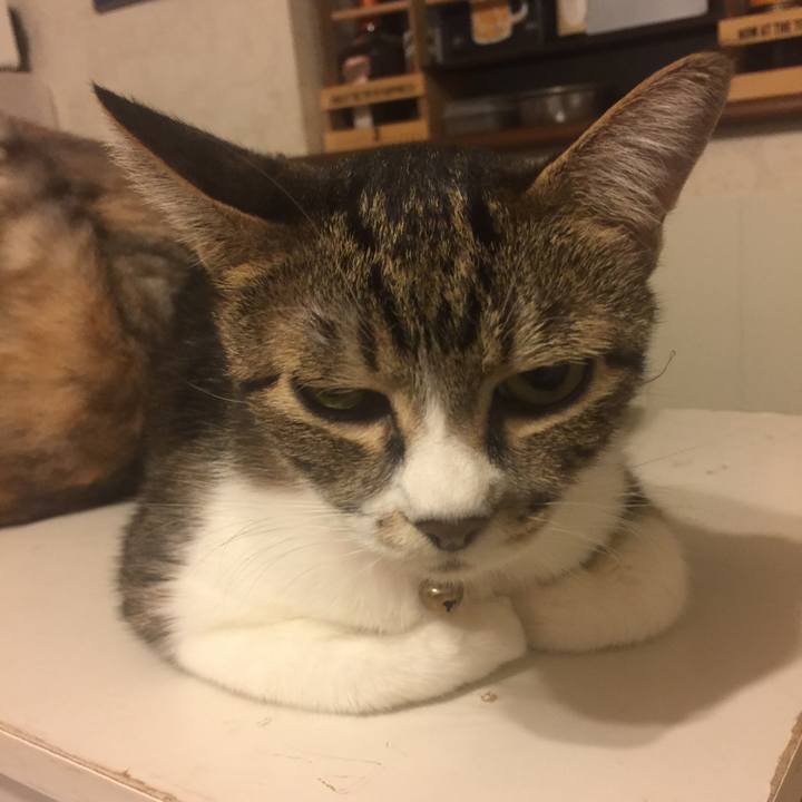 841f0dc6 325f 4fc9 b2bd fac3582225eb 1570096025274