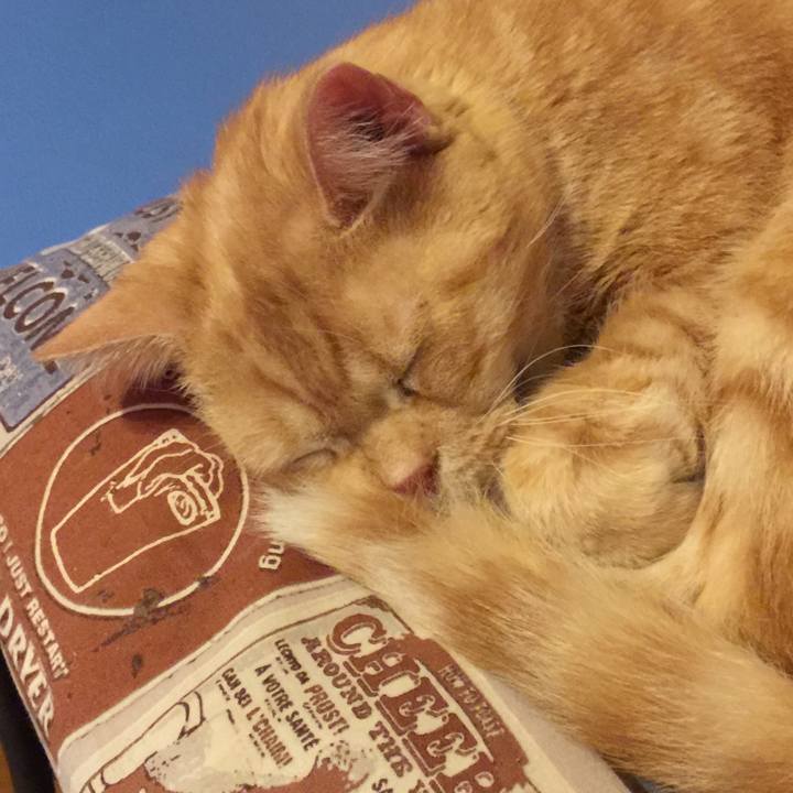 841f17e3 26fb 4afa 9373 2ba80696e397 1575895182495