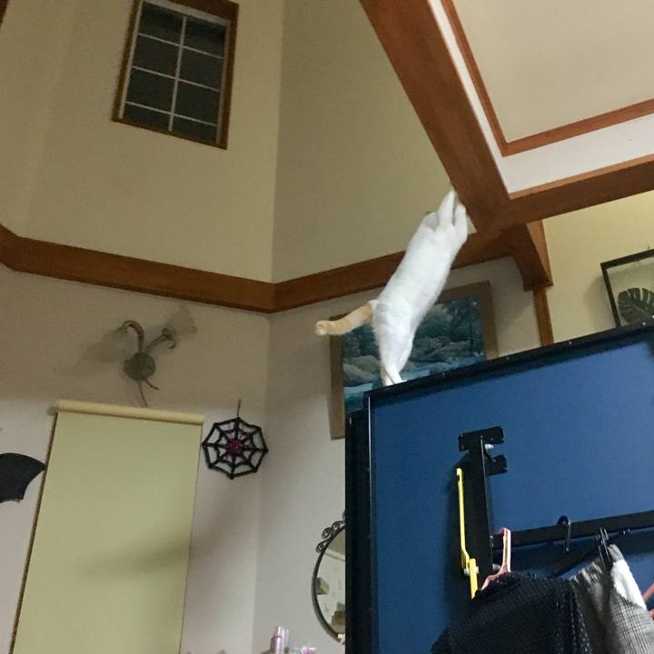 841f54c7 defd 4ae1 b4c6 3bef8e2bab85 1541735257257