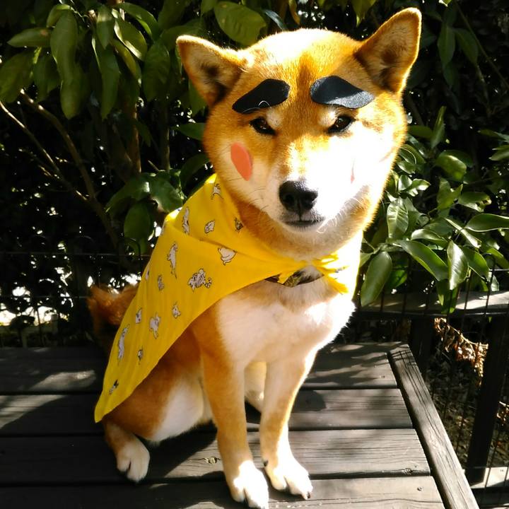 841f5515 8ef0 421e 91e8 393870032feb 1518399820085