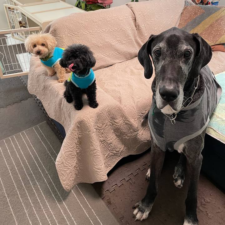 841f6ded b8d0 4ced a609 5df7ae5b1dcd 1621896409979