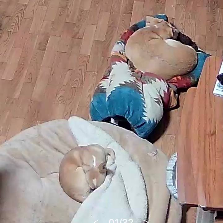 841f7606 ff2f 451f b2dc ef27cf4df8d3 1675853921691