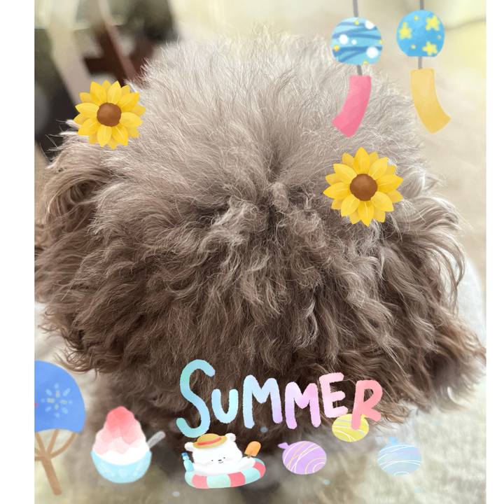 841f7f10 12bf 4aa8 8cff 9eceae634caa 1721691331985