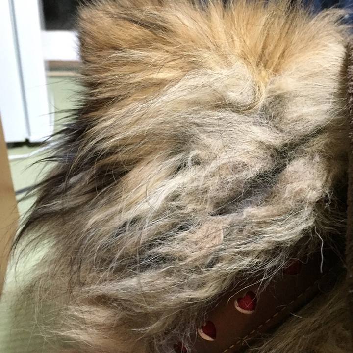 841f82ee be72 4c99 b9d3 83fdf7d6eb5c 1609027786583