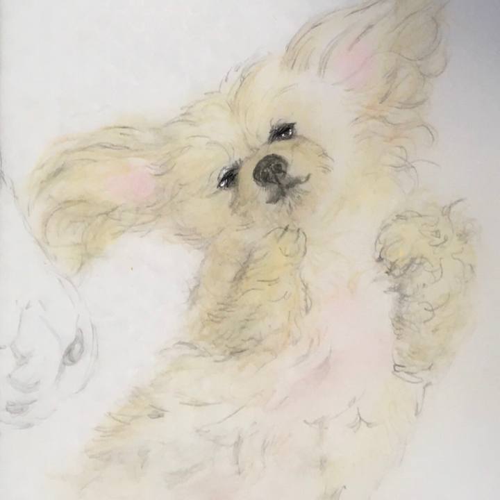 841faf7b 4097 4a72 a4cd 7fb3089cdb2e 1591859276055