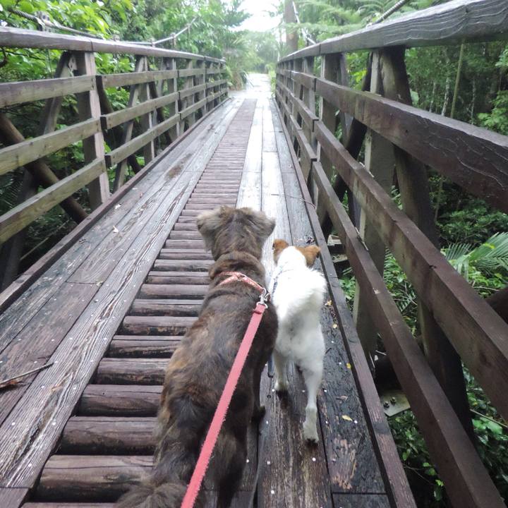 841fb881 963a 4674 8917 a33a2c03d1f3 1508299580976