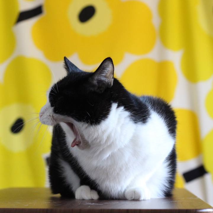 841fcc0e 8f8b 47b7 b971 7377817864d4 1680650387701