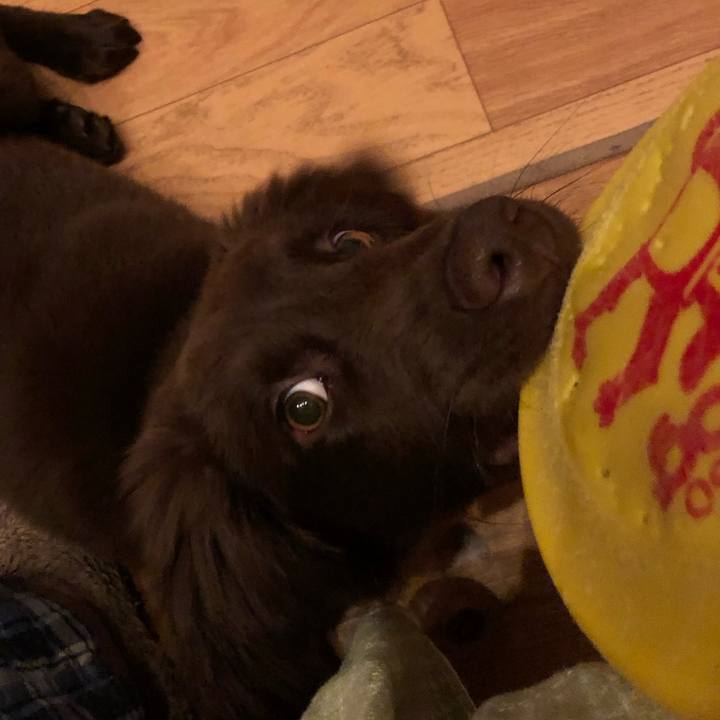 841fec5c 58b1 412e 86ba d7bb8a25f7be 1556370738211