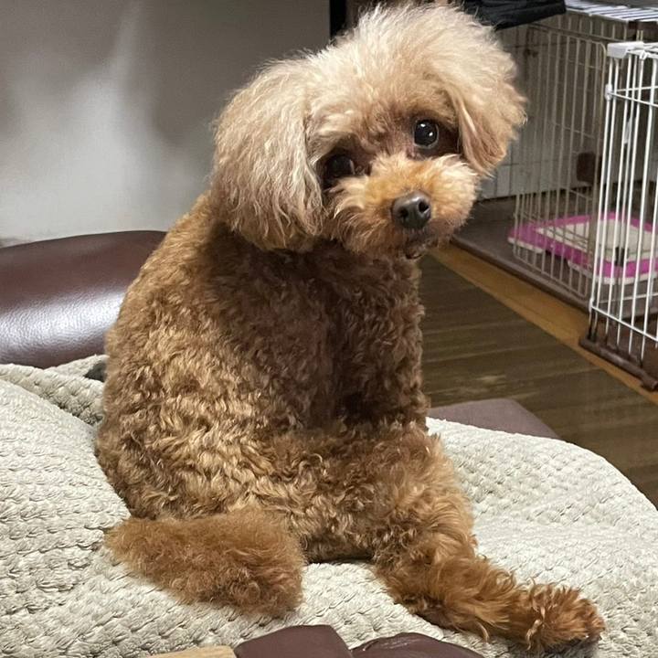 841ff26f f5df 44d2 b663 7d13f1d0b5d8 1679655405180