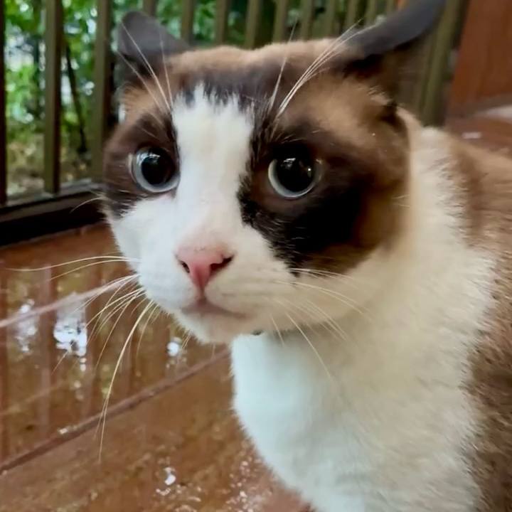 842008e1 431e 434d ab76 69e1e6ee2d0e 1752831083785