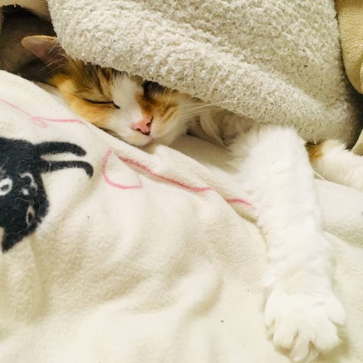 8420139d dfa5 4731 805d 1af3c73559d7 1556315294341