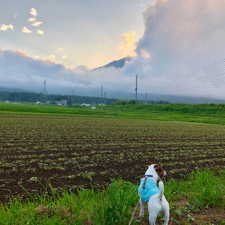 84201f08 00db 4059 9fff 4fb8f5d589a0 1597317154726