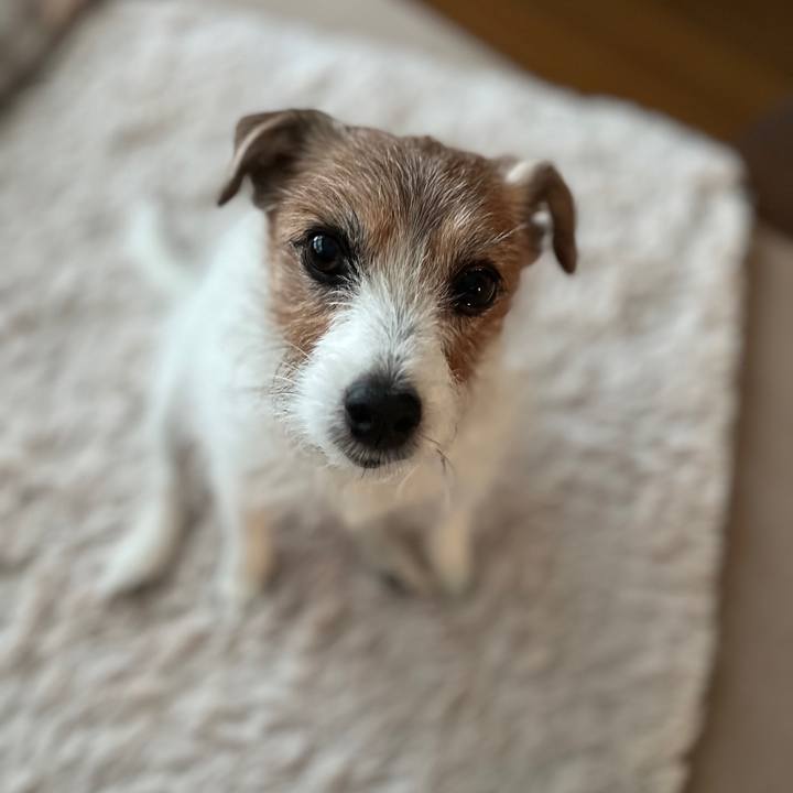 8420b1de 3c64 44a1 9245 7c72dff1294e 1730723352634