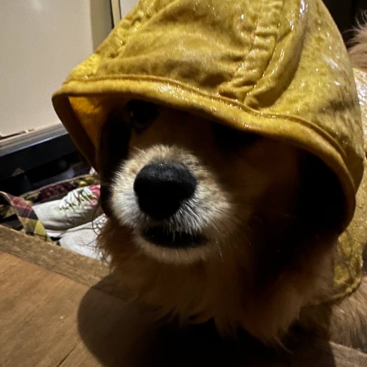 8420b1fb aafc 4365 ae82 eeb761c9869b 1685310010640