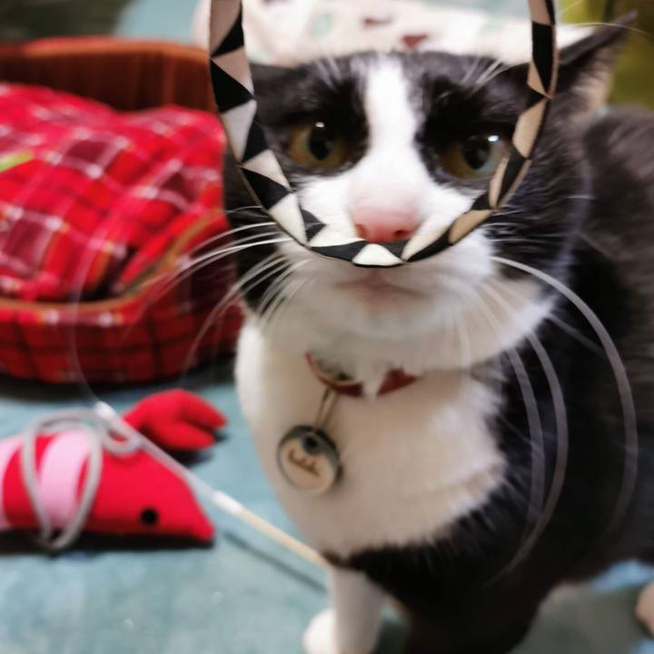 8421063d 11a0 4bbd b56e f967befd4f0e 1639305669761