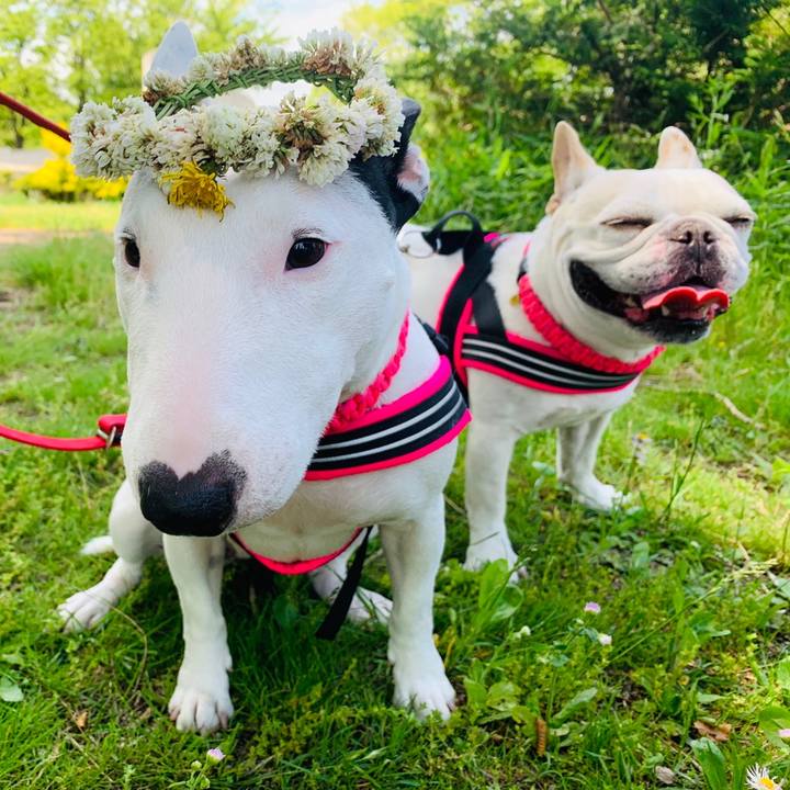 8421069e b80f 49d0 a9e9 07e3bd566ce3 1559096148104