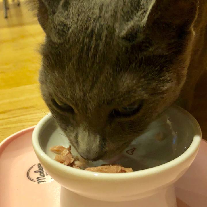 84210dae cf93 462b a119 c89540180986 1568196170505