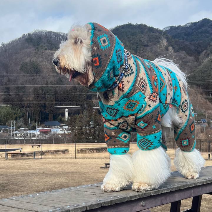 842122d6 2533 4790 ba59 d7b48a6c8276 1769766828508