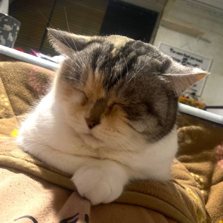 84213a82 ae11 4517 a9a6 aa4b3e94e573 1676463904889