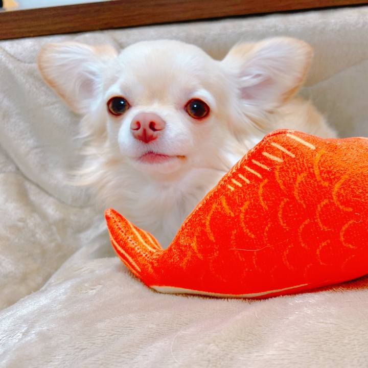 84214aa9 851c 4e4b 9425 0ab503b9ccf2 1644836009342