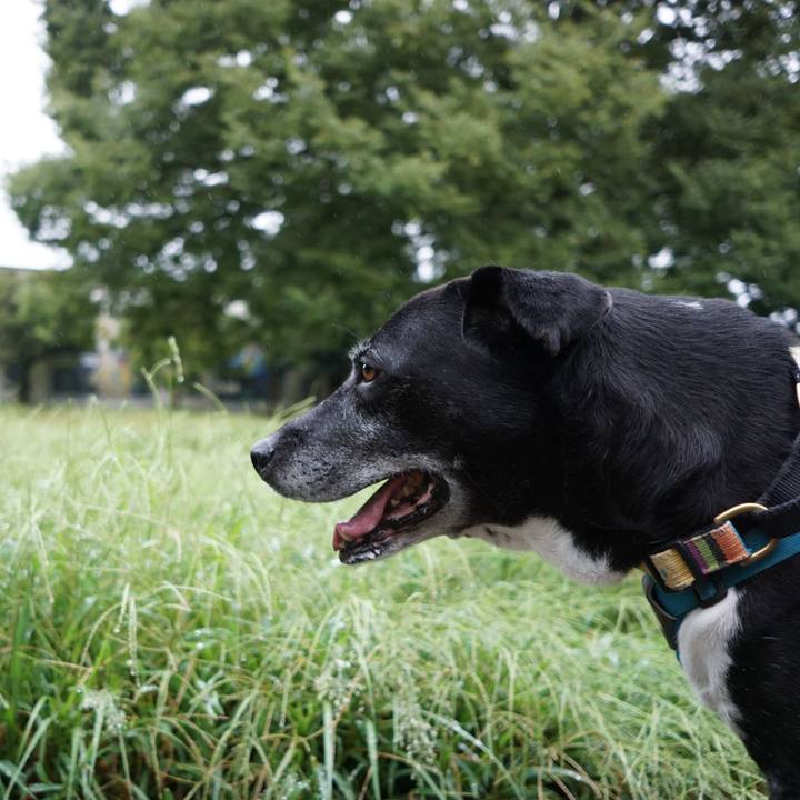 84216df8 e6c8 4f80 9d31 c220fdb2af40 1758324888249