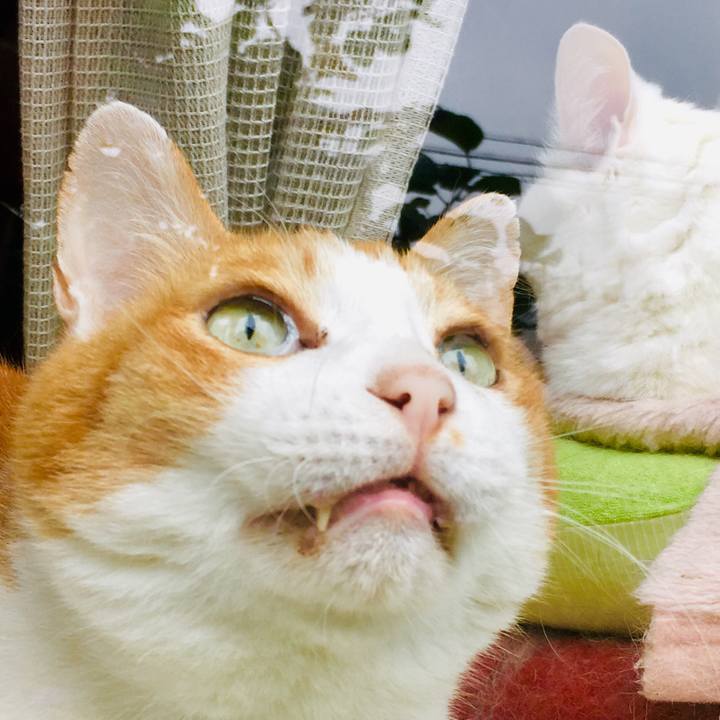 84218dbf 796f 46dd bbe5 c06ef5a95899 1561171907832