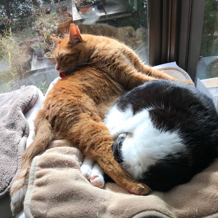 84219646 fda2 4614 82a0 1e7a883a82a1 1516419429749