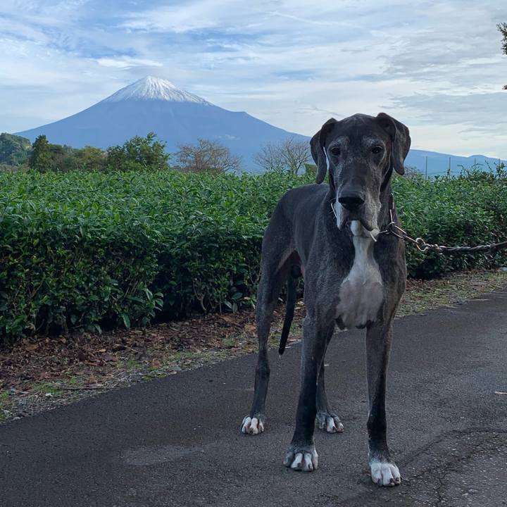 8421ab7a 17b1 4965 9887 d7367efc100b 1602979005365