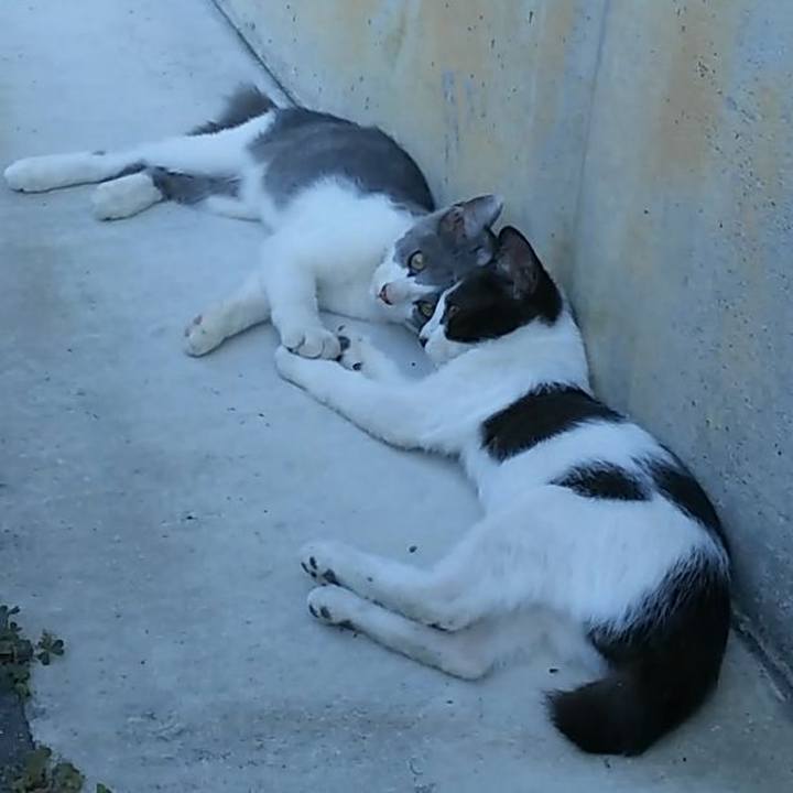 8421ff3c 1781 46ec 8d61 31d9a04a60ac 1531648727005