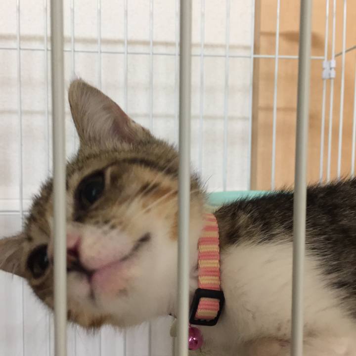 842208b7 38b8 4d90 992e 59df5b1e5bcb 1534845716863