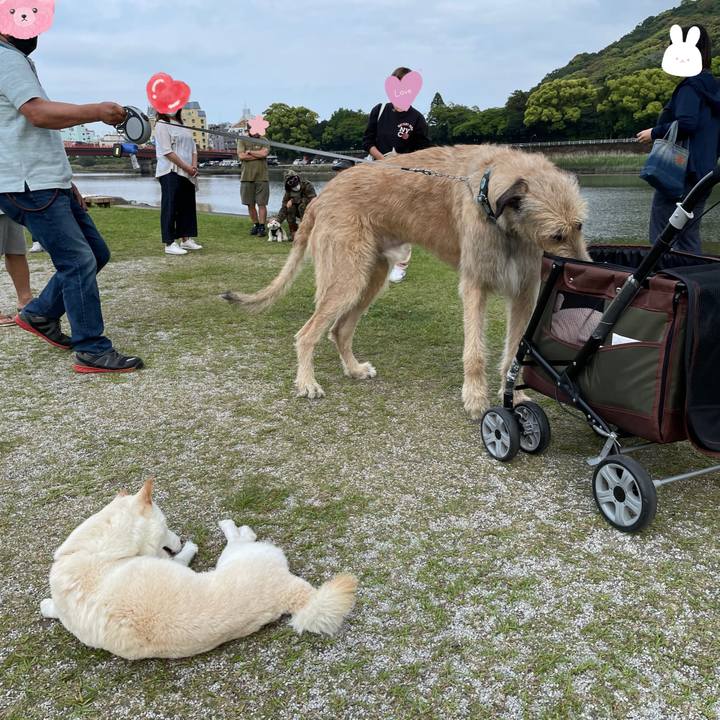 84220ee5 e165 47eb 8ca1 1fe5442c0abe 1652008288278