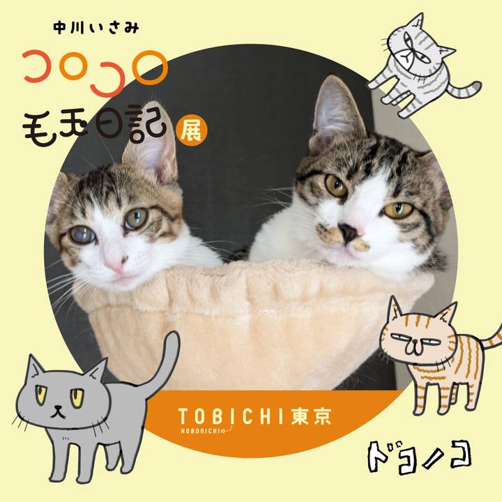 842282c1 e75c 41a0 8783 2e94bd3e1627 1740210368348