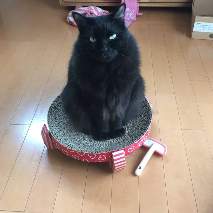 84229a00 9cba 435c b907 0051dc5b2739 1570763798407