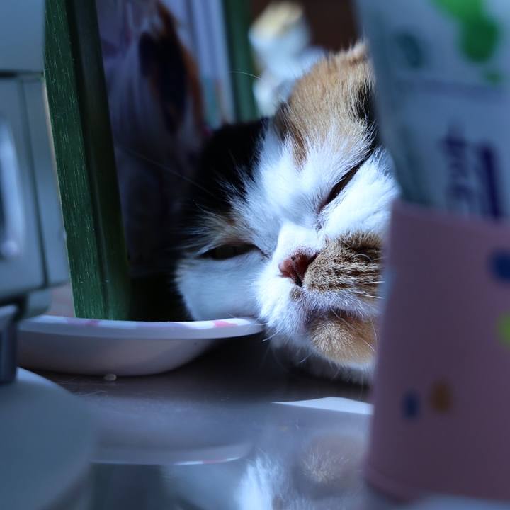 8422a3ca 487c 4b75 a485 6dc665ca2cbe 1687578302591