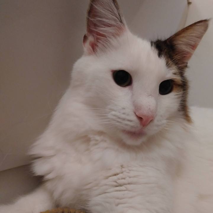 8422ebf3 df0e 4b11 9452 87ec0fa740a9 1757315797287