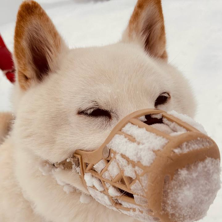 8422f22f 9012 4bf8 9da4 4f3e3b39978c 1739317050215