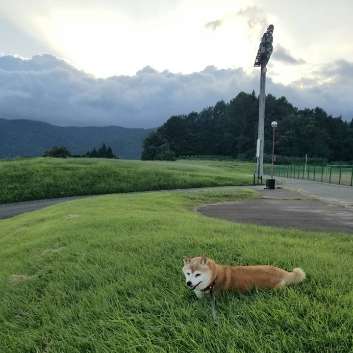 8422f276 5e7d 4689 b76a 7d5a8fe37e6a 1723280962895