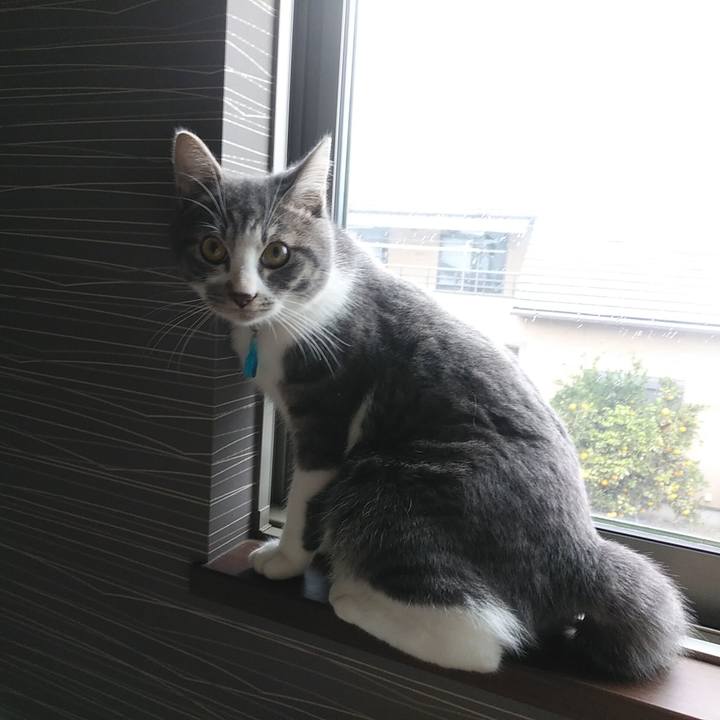 8422f5bf 3ff5 4db0 b864 6e75a712b565 1574726974840