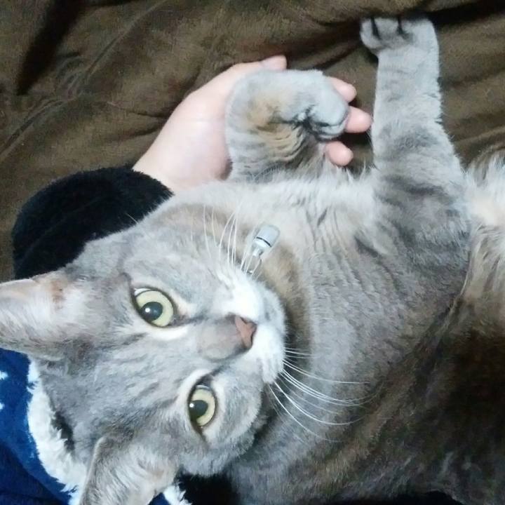 842300ae ced7 4cb5 972e 469b012b54b7 1518380704446