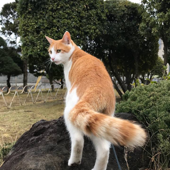 84230128 37a2 4cce b8ce 939a1f9c3585 1516156700460