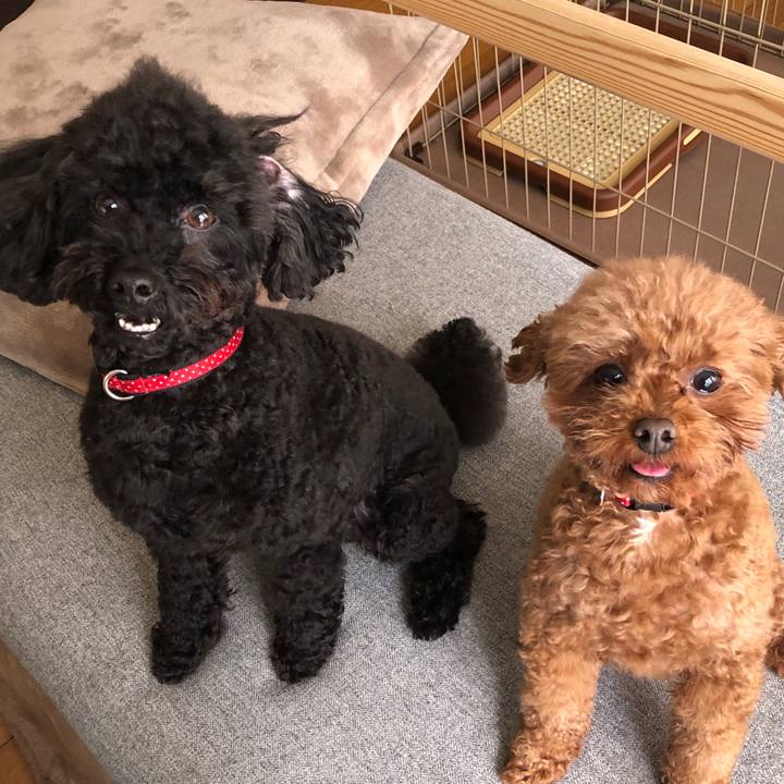 84233181 476d 46f7 ad28 1f6f88fd8cf1 1584672654989