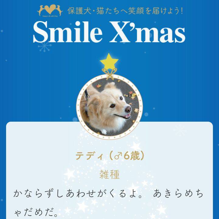 842351cf e101 4ff7 8040 97d768dd05ea 1544862440688