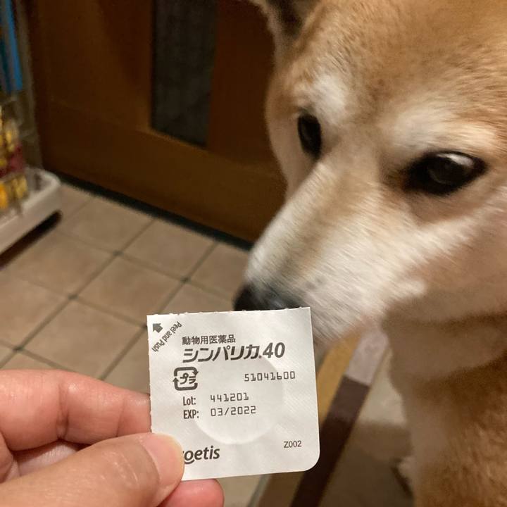 84237ccf 742f 41ff 8cbe 20ffeb8361cb 1622946871840