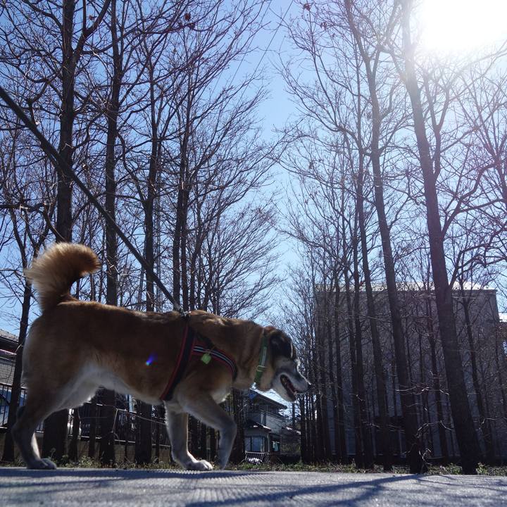 84237ebc f2ad 492c 9c0c 5f358bc06c14 1660869596196