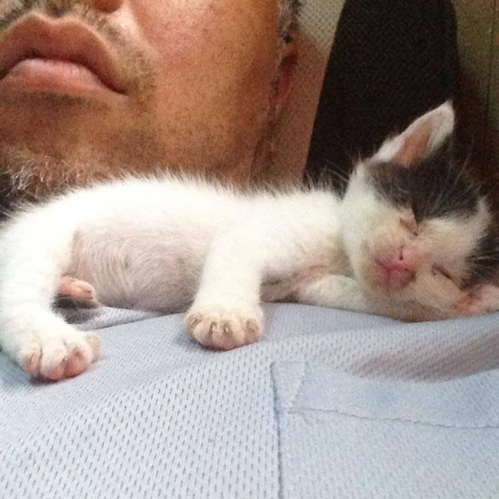 84239c63 fc2d 4e8d 9f5c f5be692e6aba 1530692079236