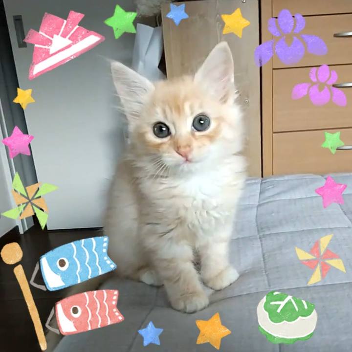 8423a074 4d9a 4c30 a003 95a86ab2537c 1651760110939