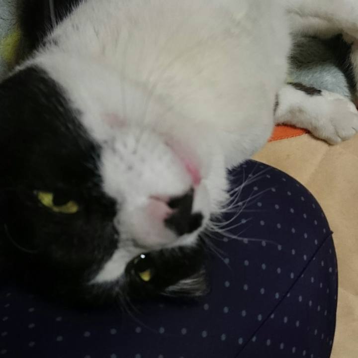 8423b12b 7de5 4cab 89ba d3eb889048c6 1516701309071