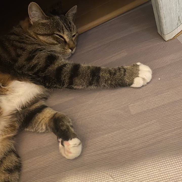 8423e326 cb38 412e 9a73 d811b23a03c4 1611106335850